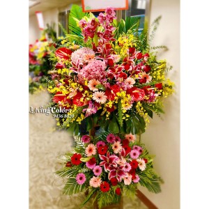 GO6689 Congratulation Flower Basket